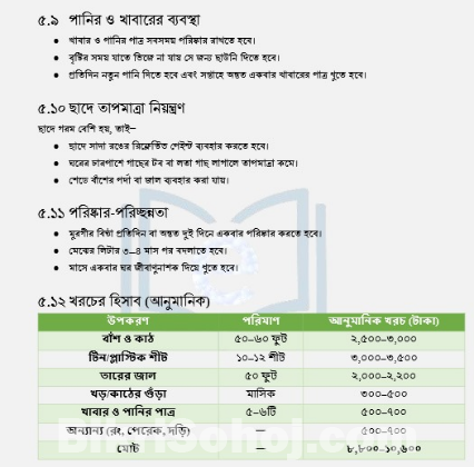ছাদে মুরগি পালন